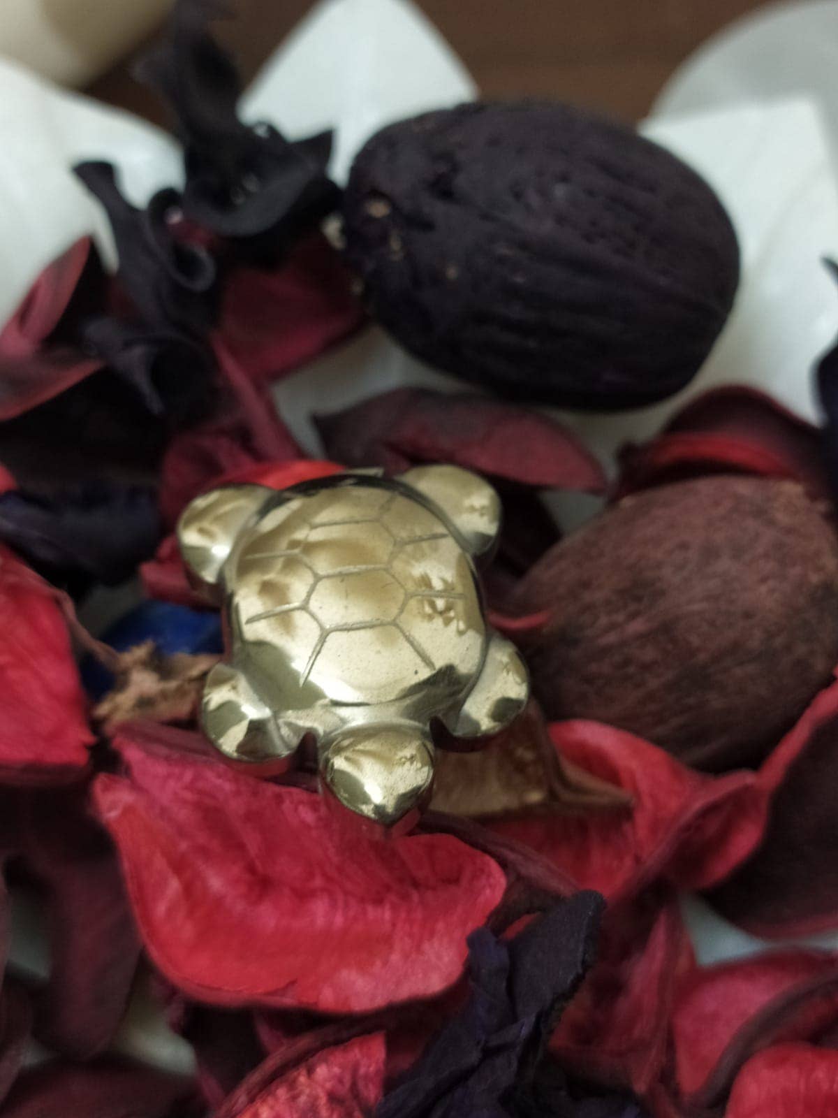 Gold Pyrite Turtle Charm