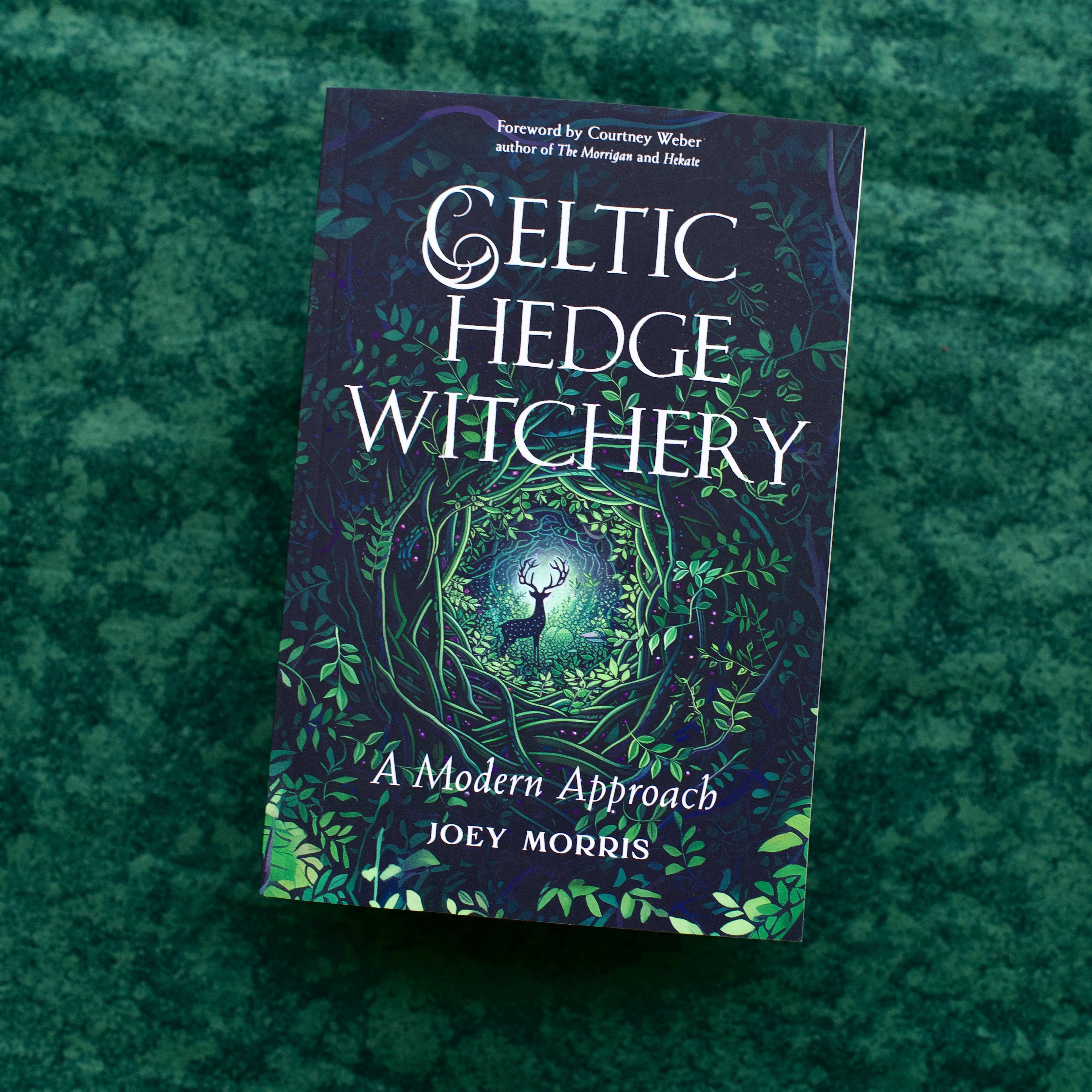 Celtic Hedge Witchery—A Modern Approach